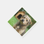 Angenommener struppiger Hund mit Hundehütte Serviette (Ecke)