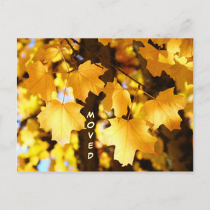 Angepasste Postkarten verschieben neue Adresse Her