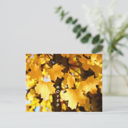 Angepasste Postkarten verschieben neue Adresse Her (Stehend Vorderseite)