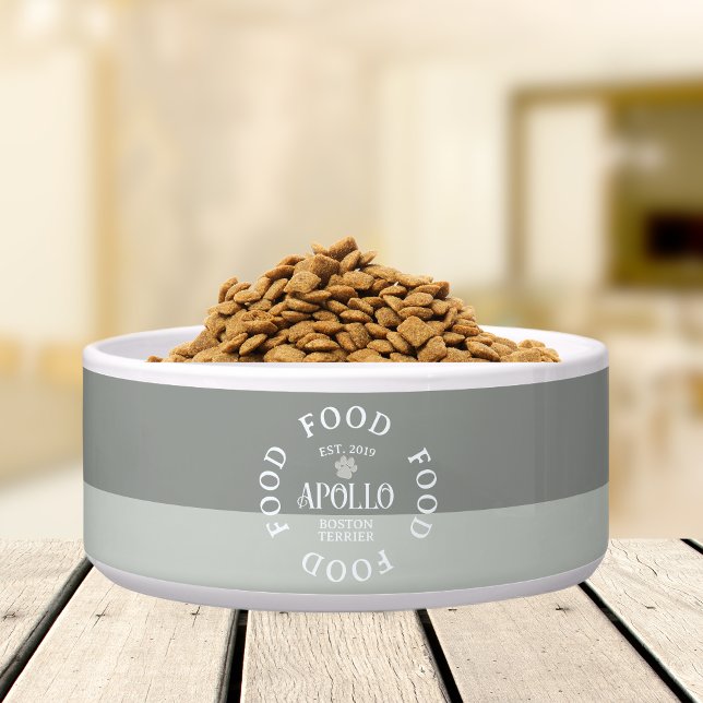 Angepasste Skripttypografie mit zwei Tone Pet-Name Napf (Customize this fun, custom dog bowl with your pet's name! )