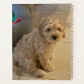 Angepasste zwei Foto beidseitig personalisiert Planer (Rückseite)