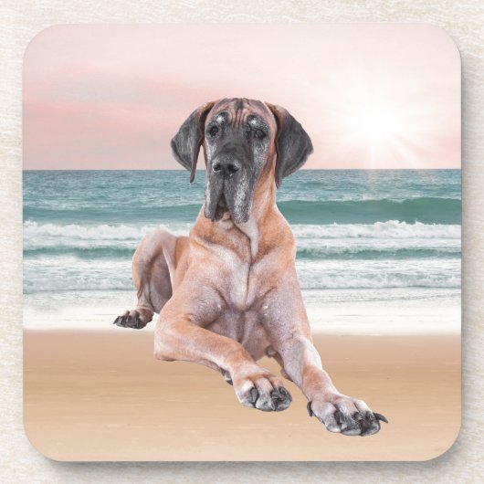 Angepasster Niedlicher Großer Dan Hund sitzend am  Getränkeuntersetzer (Vorderseite)