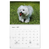 Angepasster Pet-Kalender Kalender (Mär 2027)