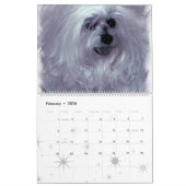 Angepasster Pet-Kalender Kalender (Feb 2026)
