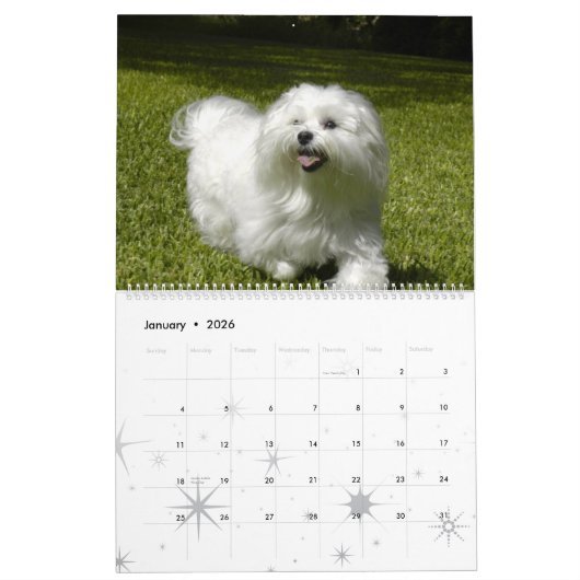 Angepasster Pet-Kalender Kalender (Jan 2026)