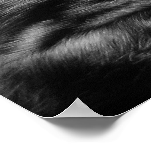 ANGER Poster 39.9"x27.4" (Ecke)