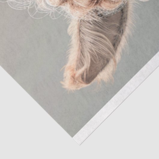 Angesagt Chick Llama Decoupage Seidenpapier (Ausschnitt)