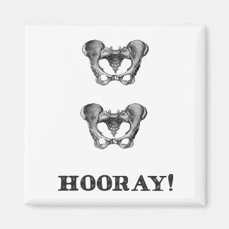 Angesagte Angesagt-Hooray-Anatomie Magnet
