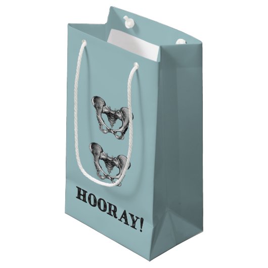 Angesagte angesagte Hooray Anatomie-Mitteilung Kleine Geschenktüte (Vorderseite Schrägansicht)