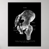 Angesagtes Anatomie-Medizinposter Poster (Vorne)