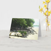 angeschwemmtes 8x10 2 karte (Gelbe Blume)