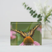 Angesicht für Schmetterling Postkarte (Stehend Vorderseite)