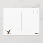 Angesicht für Schmetterling Postkarte (Rückseite)