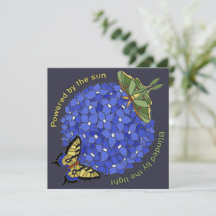 Angetrieben von der Sonne - Geblendet vom Licht Ka
