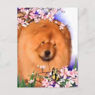 ANGIE erARTdog als Postkarte