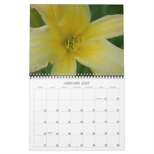 Angie's Lilies Kalender (Jan 2027)