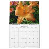 Angie's Lilies Kalender (Mär 2027)