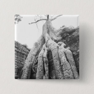 Angkor Kambodscha, Baum Ta Prohm Button
