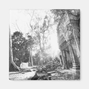 Angkor Kambodscha, Details Ta Prohm Magnet