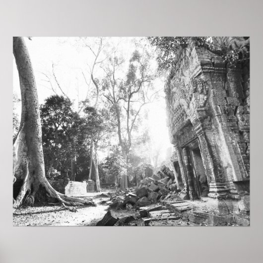 Angkor Kambodscha, Details Ta Prohm Poster (Vorne)