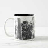 Angkor Kambodscha, Details Ta Prohm Zweifarbige Tasse (Links)