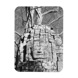 Angkor Kambodscha, Kopf Ta Som Tempel Magnet