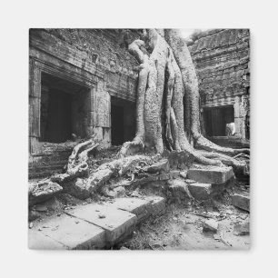 Angkor Kambodscha, Ta Prohm Baum Magnet