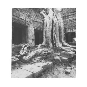 Angkor Kambodscha, Ta Prohm Baum Notizblock