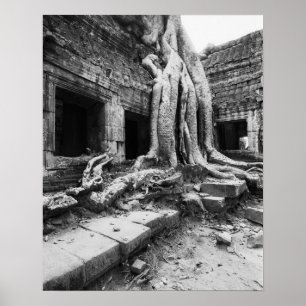 Angkor Kambodscha, Ta-Prohm-Baum Poster