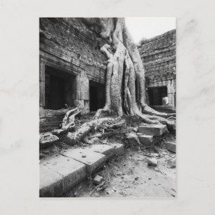 Angkor Kambodscha, Ta Prohm Baum Postkarte