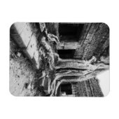 Angkor Kambodscha, Ta Prohm Tree Magnet (Horizontal)