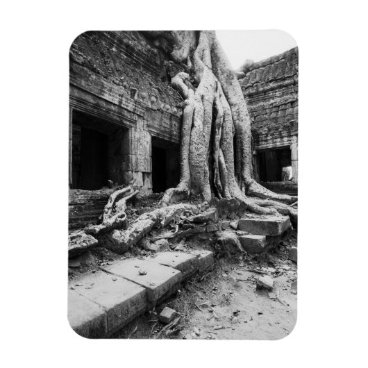 Angkor Kambodscha, Ta Prohm Tree Magnet (Vertikal)