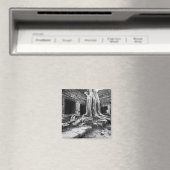 Angkor Kambodscha, Ta Prohm Tree Magnet (In Situ (Geschirrspüler))