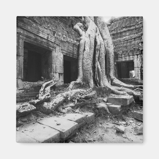 Angkor Kambodscha, Ta Prohm Tree Magnet (Vorne)