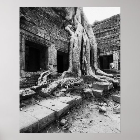Angkor Kambodscha, Ta Prohm Tree Poster (Vorne)