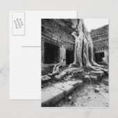 Angkor Kambodscha, Ta Prohm Tree Postkarte (Vorne/Hinten)