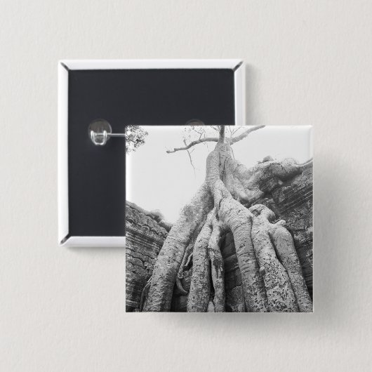 Angkor Kambodscha, Tree Ta Prohm Button (Vorne & Hinten)