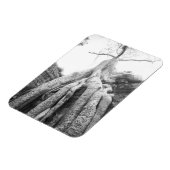 Angkor Kambodscha, Tree Ta Prohm Magnet (Linke Seite)