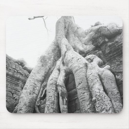 Angkor Kambodscha, Tree Ta Prohm Mousepad (Vorne)