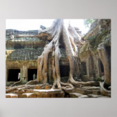Angkor Tree Poster (Vorne)