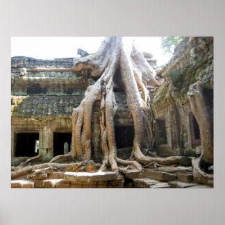 Angkor Tree Poster