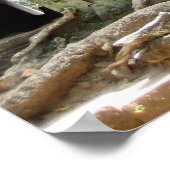 Angkor Tree Poster (Ecke)