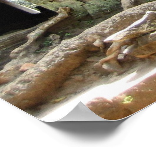 Angkor Tree Poster (Ecke)