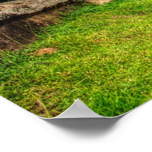 Angkor Wat Kambodscha Poster (Ecke)