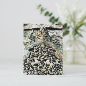 Angkor Wat, Kambodscha Postkarte (Stehend Vorderseite)