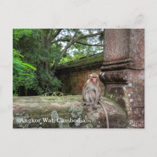 Angkor Wat Kambodscha Postkarte (Vorderseite)