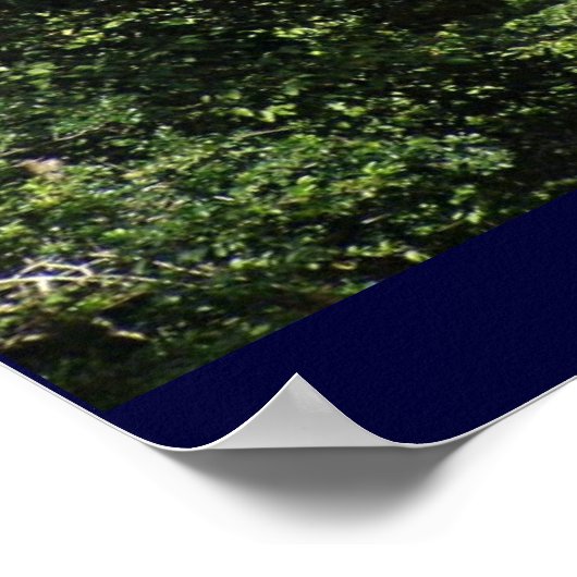 Angkor Wat Poster (Ecke)