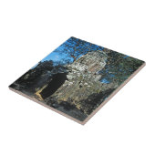 Angkor wat, Ta som temple - Kambodscha, Asien Fliese (Seite)