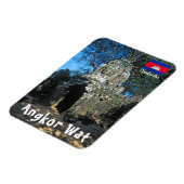 Angkor wat, Ta som temple - Kambodscha, Asien Magnet (Linke Seite)