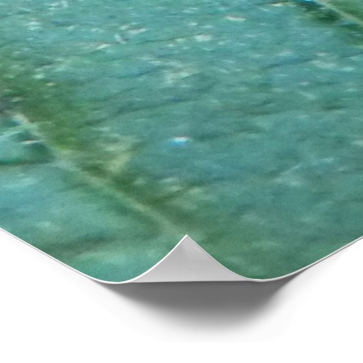 Angle Shades Moth Poster (Ecke)